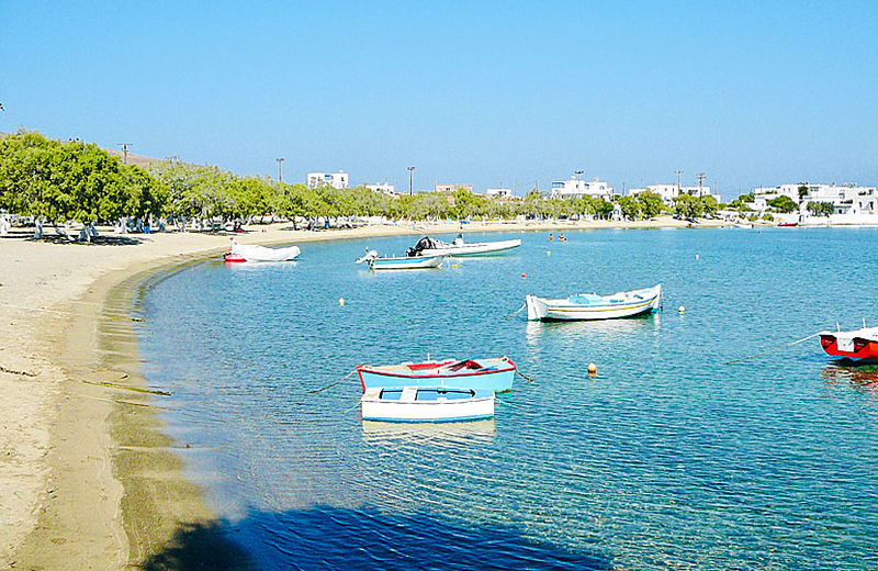 pollonia